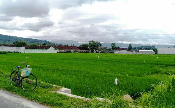 desa_sleman_2019 Generasi Muda Membangun Desa