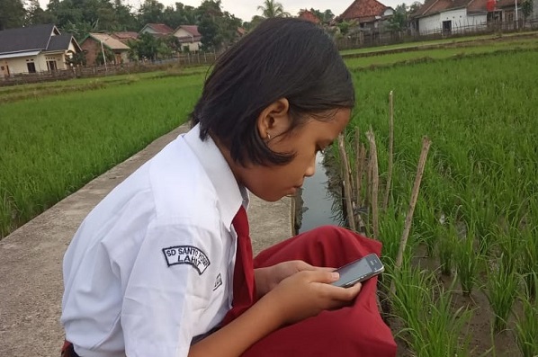 Siswa di SD Santo Yosef Lahat