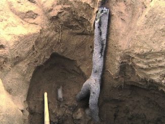 Wow, Petir Itu Ternyata Bisa Ditangkap, Ini Wujudnya Fulgurites