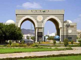 Universitas Islam Madinah