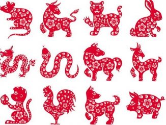 Check It Out! Ini Lho 12 Shio Berdasarkan Tahun Kelahiranmu