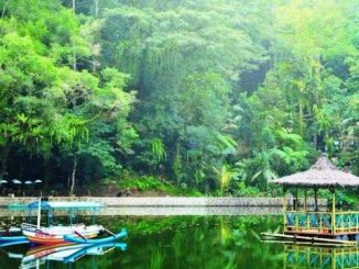 Rowo Bayu Banyuwangi