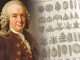 Carolus Linnaeus