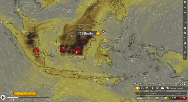 Peta Indonesia yang dimuat di windy.com