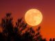 Fenomena Harvest Moon