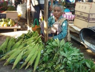 Yakobus Manue Fernandez dan Ibu Margaretha Hati Manhitu menerima penghargaan sebagai orang tua hebat dari Kementerian Pendidikan dan Kebudayaan (Kemendikbd) melalui Direktorat Jenderal Pendidikan Usia Dini dan Pendidikan Masyarakat (Ditjen PAUD dan Dikmas) dalam malam Apresiasi Pendidikan Anak Usia Dini dan Pendidikan Keluarga, di Balai Kartini, Jakarta, Rabu, 6 November 2019