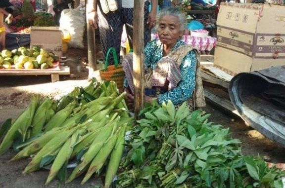 Margaretha Hati Manhitu tetap berjualan sayur, jagung dan hasil bumi sebagai petani (Foto: Kompas.com) Yakobus Manue Fernandez dan Ibu Margaretha Hati Manhitu menerima penghargaan sebagai orang tua hebat dari Kementerian Pendidikan dan Kebudayaan (Kemendikbd) melalui Direktorat Jenderal Pendidikan Usia Dini dan Pendidikan Masyarakat (Ditjen PAUD dan Dikmas) dalam malam Apresiasi Pendidikan Anak Usia Dini dan Pendidikan Keluarga, di Balai Kartini, Jakarta, Rabu, 6 November 2019