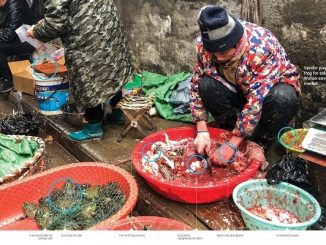 A man kills a fish in a wet market in Wuhan on January 05, 2020. China has imposed an immediate ban on the trade in wildlife (Photo: Simon Song/Graphic: South China Morning Post-SCMP)