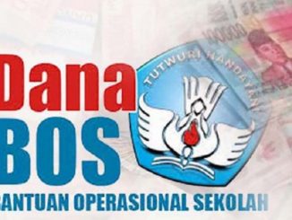Ilustrasi: Dana BOS (Ist.)