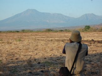 Pesona Taman Nasional Baluran