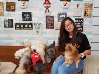 Peserta didik Penabur Secondary Tanjung Duren (PSTD), Rachel Sarah Wiradharma