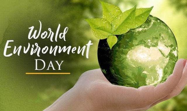 Ilustrasi: Hari Lingkungan Hidup Sedunia, 5 Juni. (Ist.)