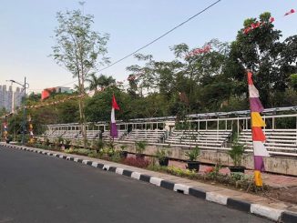 Khitas (Kebun Hidroponik Taman Solo) yang dikelola oleh Kelompok Petani Kota (KPK) RW.04, Kelurahan Cempaka Putih Timur