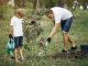 Ilustrasi orang tua menanam pohon bersama anak (KalderaNews/Ist).