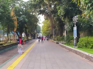 Jalur pedestrian Kebun Raya Bogor di pagi hari