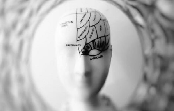 Brain gym senam otak