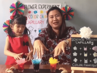 Peserta PENABUR Kids Fest “Indonesian Little Transformers”: Lomba Proyek Anak Pembelajaran Abad 21 Tingkat KB, TK A, dan TK B