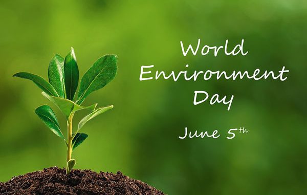 Hari Lingkungan Hidup Sedunia atau World Environment Day. (KalderaNews.com/Ist.)