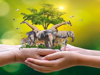 Ilustrasi: Hari Hak Asasi Binatang. (KalderaNews.com/Ist.)