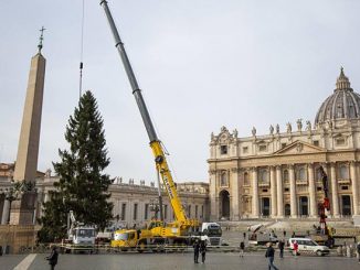 Pohon Natal di Lapangan St Petrus Vatikan. (Ist.)