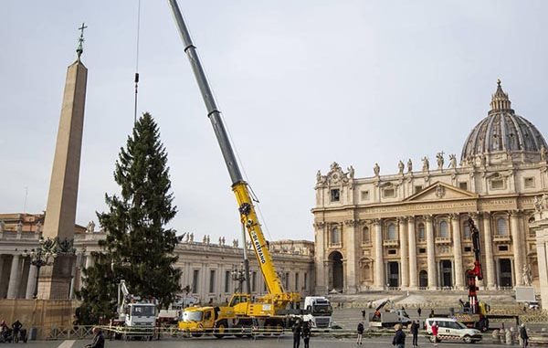 Pohon Natal di Lapangan St Petrus Vatikan. (Ist.)