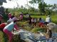 Para siswa SD Kanisius Prontakan yang berlokasi di Dusun Braman, Ngargomulyo, Dukun, Magelang memanen padi di Sekolah Sawah pada Selasa, 10 Mei 2022