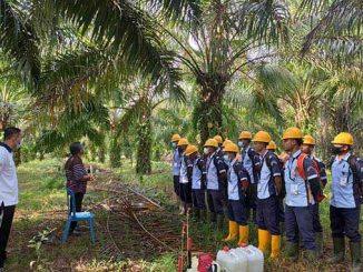 Mahasiswa Politeknik Kelapa Sawit. (Dok.Poltek Sawit)