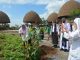 Wakil Walikota Semarang menanam pohon di Laboratorium Sekolah Berbasis Alam Kebon Dalem. (AntaraFoto)