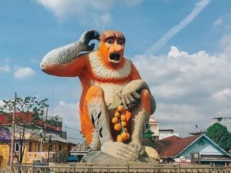 Bekantan jadi ikon Provinsi Kalimantan Selatan