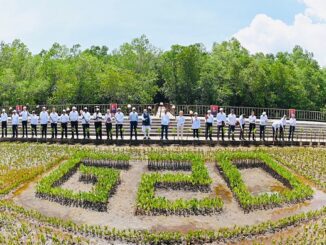 Presiden Joko Widodo dan para pemimpin negara G20 serta lembaga internasional mengunjungi Taman Hutan Raya (Tahura) Ngurah Rai, Kota Denpasar, Provinsi Bali pada Rabu, 16 November 2022. Di sana, Presiden dan para pemimpin G20 melakukan kegiatan penanaman pohon mangrove bersama serta berkeliling melihat langsung berbagai spesies mangrove yang ada di Tahura