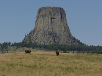 Parnorama Devils Tower dengan hamparan taiga dan padang rumput yang luas di alas kakinya. (KalderaNews/IG @vgmphotography)