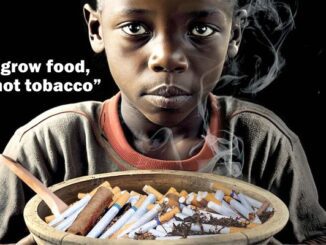 Kampanye Hari Tanpa Tembakau Sedunia 2023. (Dok.WHO)