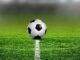 Jenis rumput standar FIFA. (Ist.)