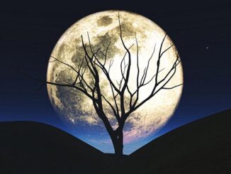 Fenomena full harvest moon. (image by freepik)