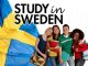 Beasiswa kuliah di Swedia. (Ist.)