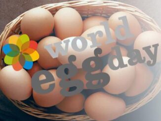Hari Telur Sedunia. (Ist.)