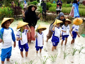 Kegiatan outing class untuk anak-anak di jenjang TK. (Ist.)