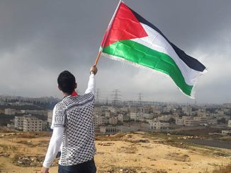 Seorang remaja memegang bendera Palestina. (unsplash)