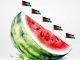 Semangka sebagai simbol dukungan untuk Palestina. (Ist.)