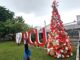 Pohon Natal di kampus Petra Christian University Surabaya. (dok.PCU)