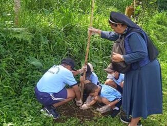 SD Marsudirini St Yoseph Muntilan menanam pohon di lereng Gunung Merapi. (Ist.)