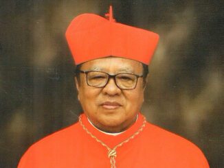 Kardinal Ignatius Suharyo. (dok.kaj)