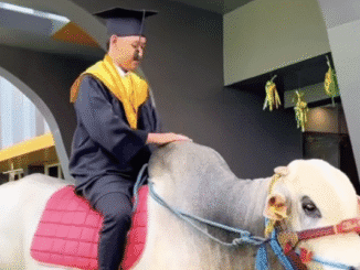 Priswana Akbar Ramadhani