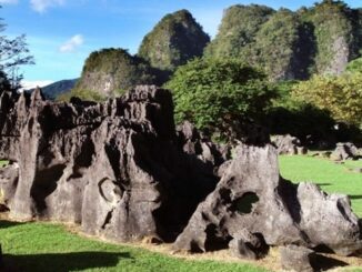 Taman Arkeologi Leang-Leang Maros. (Ist.)