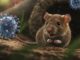 Bahaya Hantavirus. (Ist.)
