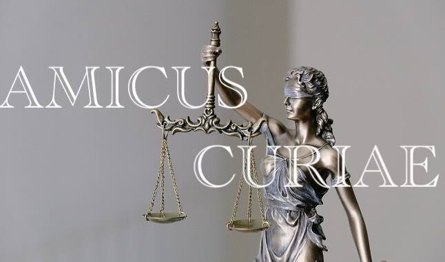 Amicus Curiae, Sahabat Pengadilan, Friend of the Court