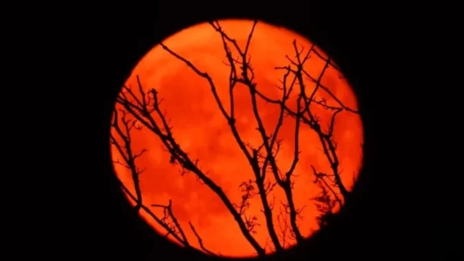 sturgeon-moon-pada-agustus-2022-unsplash-li6vZ